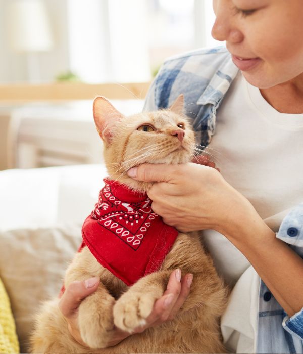 A person holding a cat