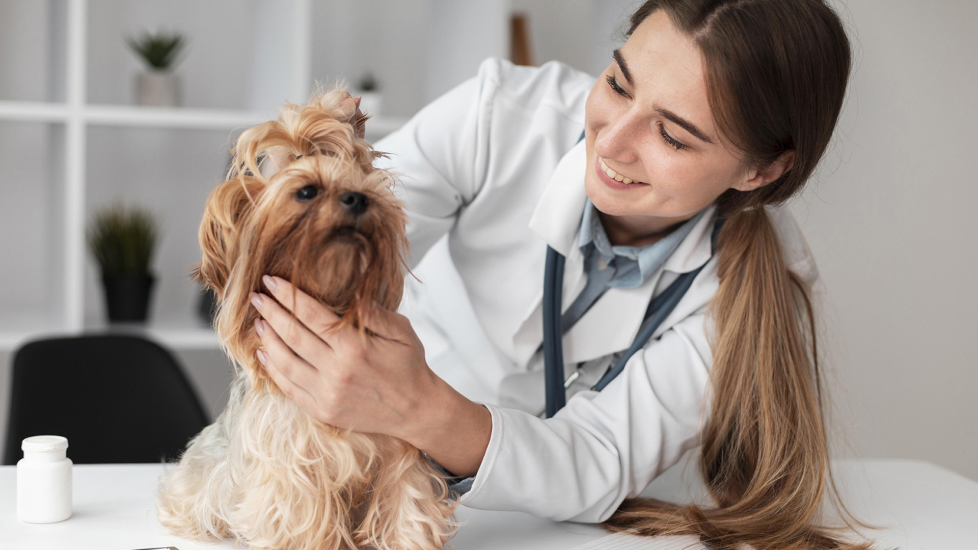 a person in a white coat petting a dog